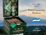 CAO Cameroon Perfecto cover